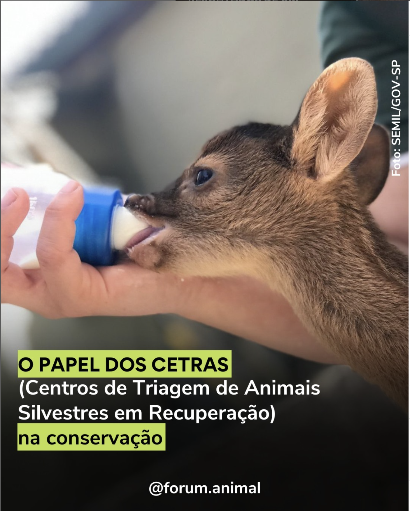 O Papel dos CETRAS