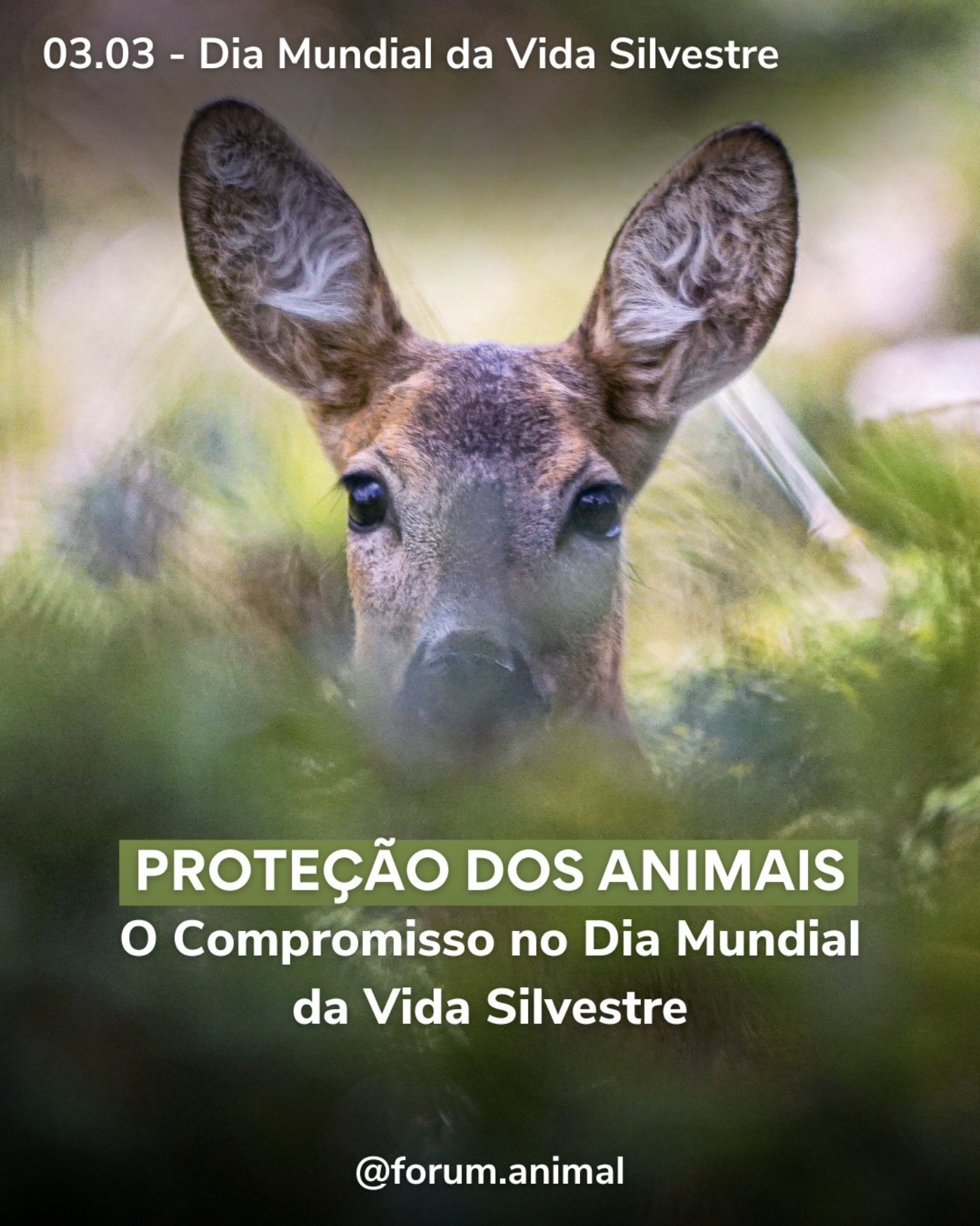 Proteção dos Animais