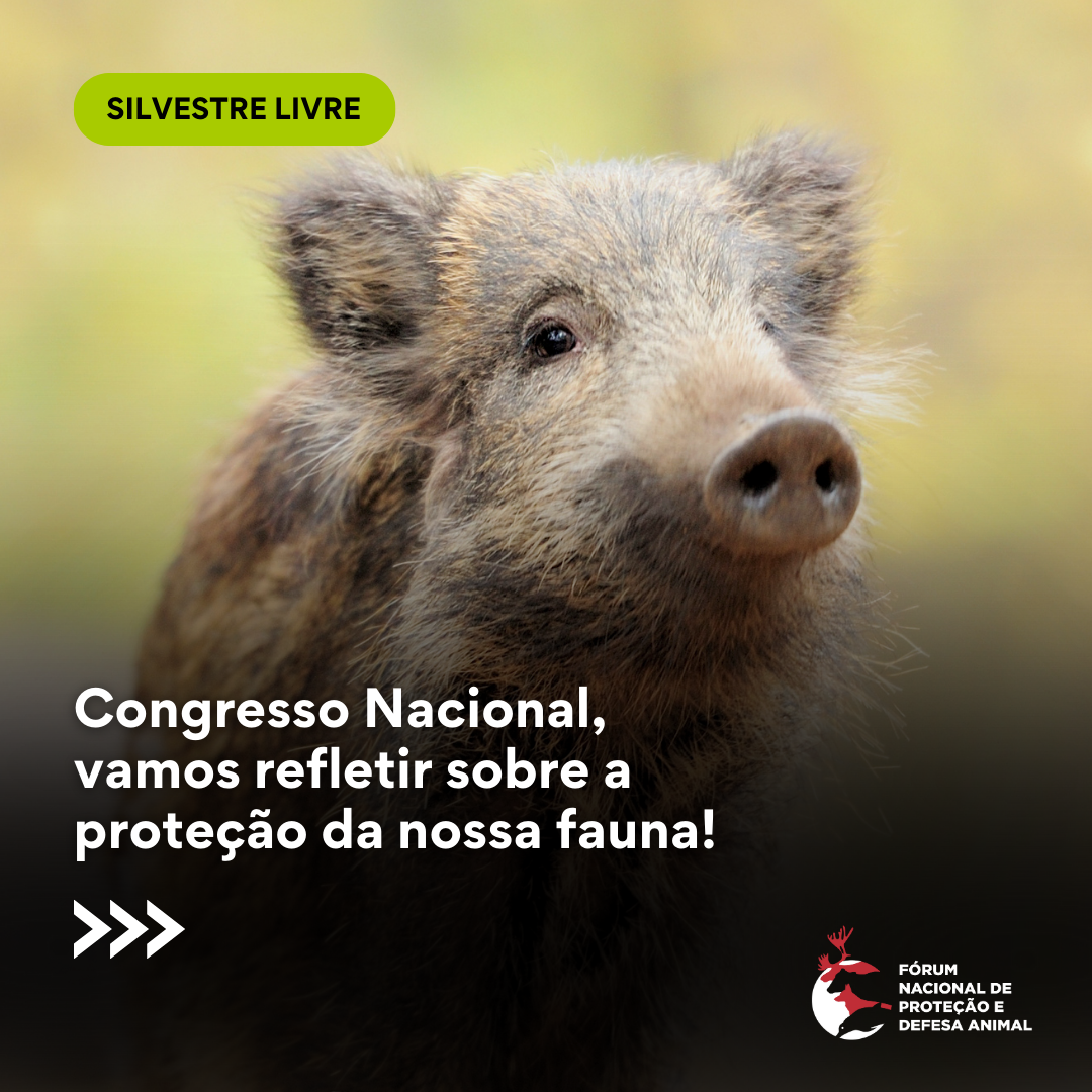 Congresso Nacional, vamos refletir sobre a proteção da nossa fauna!