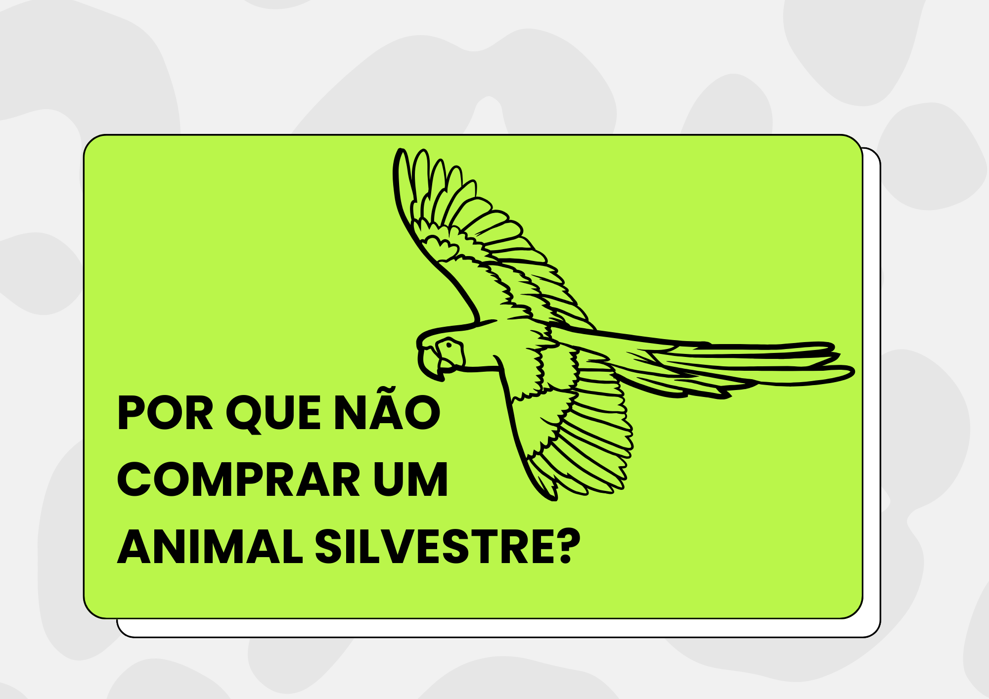 Por que não comprar um animal silvestre?