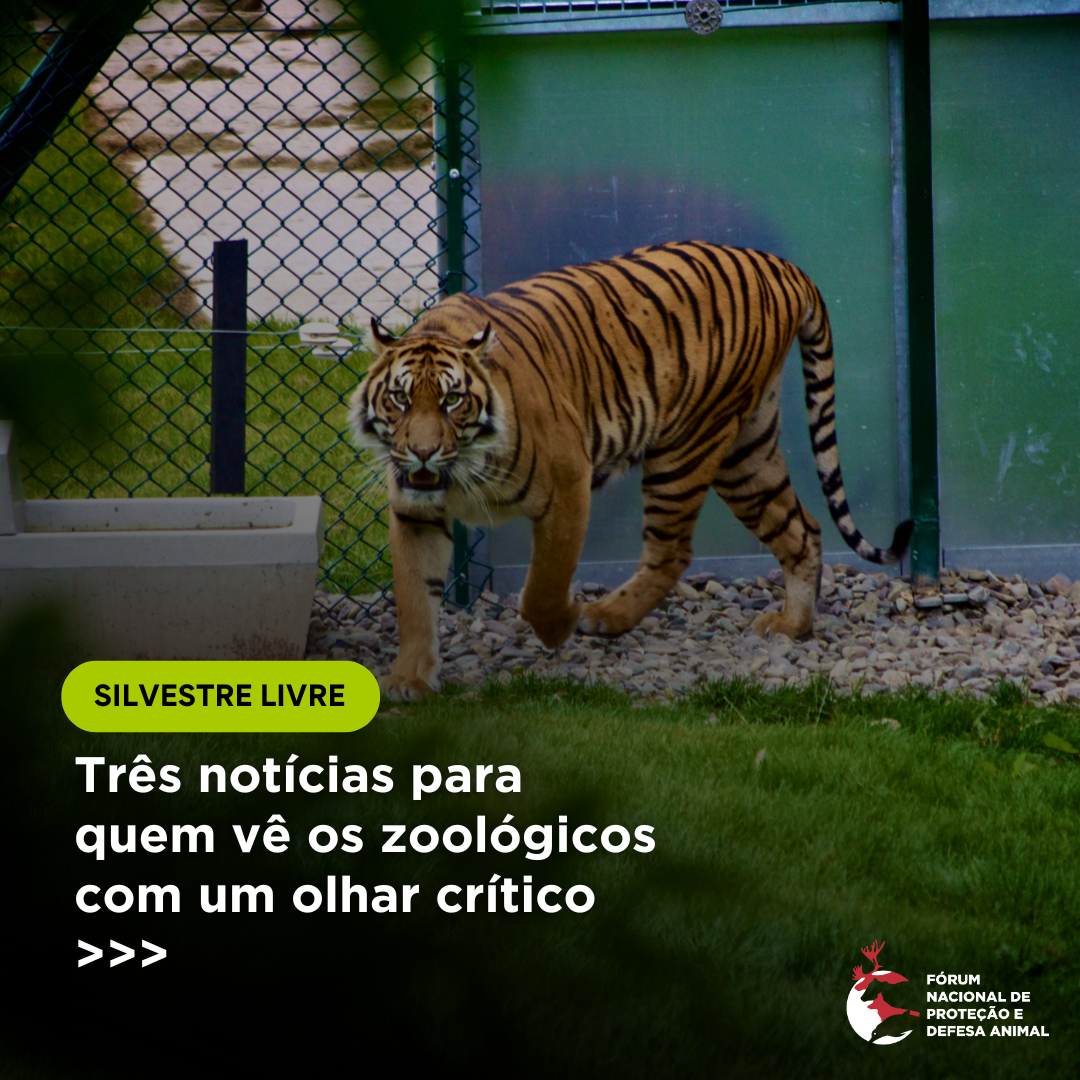 Zoológicos seguem em pauta